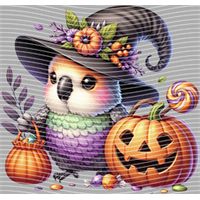 Halloween-WS 5817